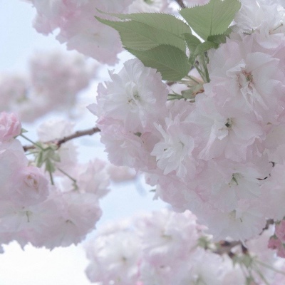 三元福瑞交流群